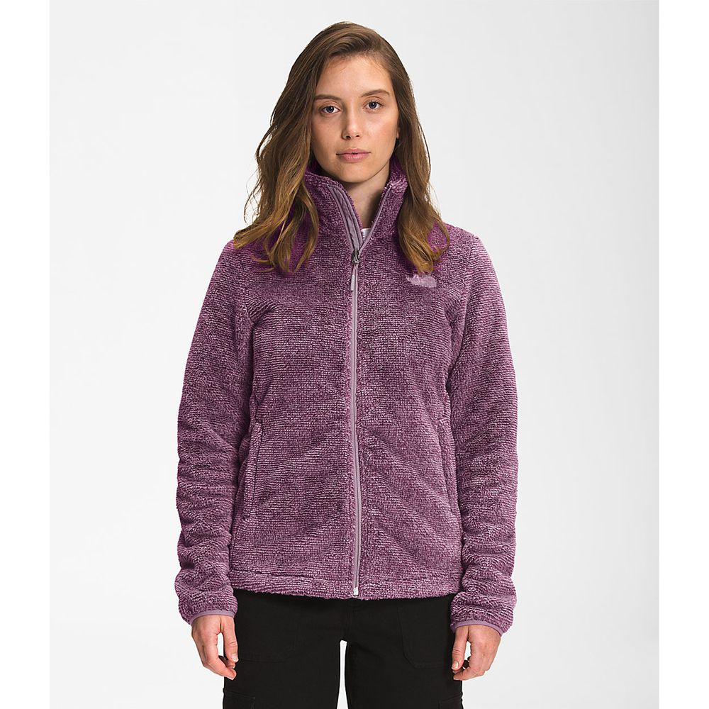 The North Face Fleece Jacket Womens Australia - The North Face Printed Multi-Color Osito Grey / Purp